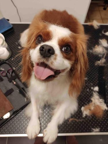 IMG 20240830 171734