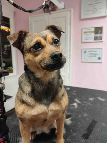 IMG 20241220 181509